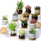 12-Pack 2.5 Inch Mini Ceramic Succulent Pots with Drainage Holes & Bamboo Trays – Small Colorful Plant Planters for Home, Office, Garden, Desk & Indoor Decor (Bulk Set)